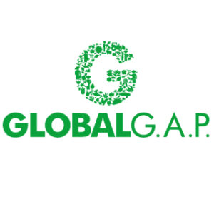 global_logo_01